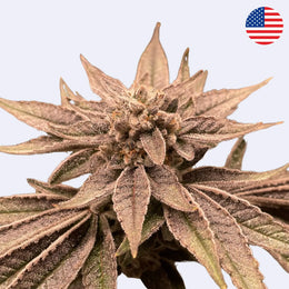 Jablka a banány - krájení