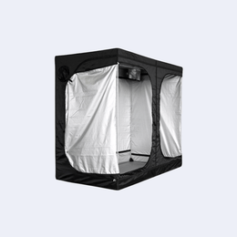Mammoth | XXL-Growzelt Lite+ 240 – Großer Indoor-Grow Raum für ambitionierte Züchter