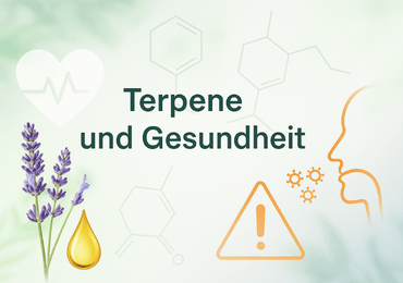 Terpeny a zdraví – zdravé, problematické nebo alergenní?