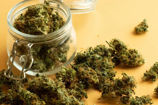 Konopná kúra – Snadná kúra