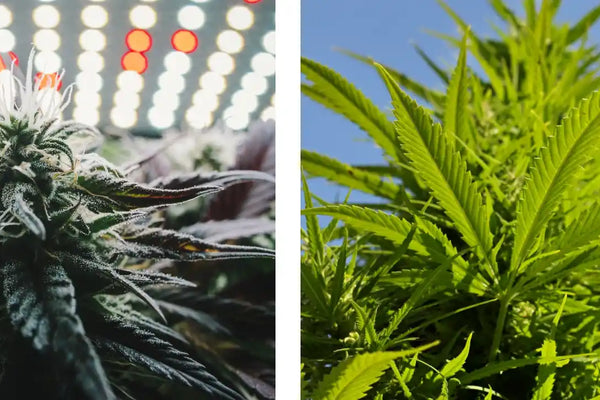 Vnitřní nebo venkovní – co vám vyhovuje nejlépe?