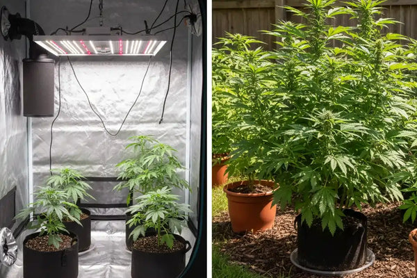 Vnitřní nebo venkovní – co vám vyhovuje nejlépe?