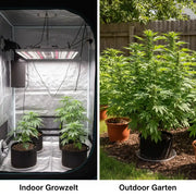 Indoor oder Outdoor – Was passt zu dir?