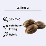 Feminizovaná semínka AlienZ