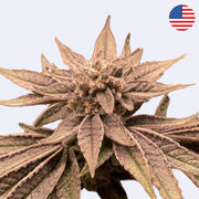 Jablka a banány - krájení