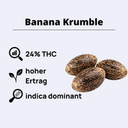 Feminizovaná semínka Banana Krumble