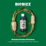 Biobizz | Organické hnojivo pro biologické pěstování