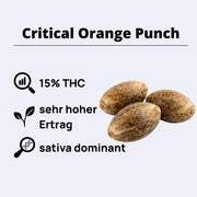 Feminizovaná semínka Critical Orange Punch
