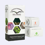 Feminizovaná semínka Critical Orange Punch