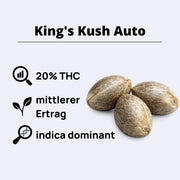 Samonakvétací semena King's Kush