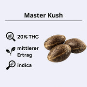 Master Kush Samen mit 20% THC, mittlerem Ertrag und Indica-Genetik auf hellem Hintergrund.