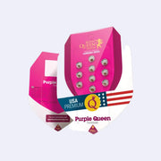 Feminizovaná semínka Purple Queen