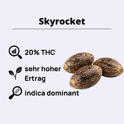 Feminizovaná semínka Skyrocket