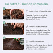 Samonakvétací semínka odrůdy Lemon Cherry Cookies