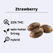 Feminizovaná semínka Ztrawberry